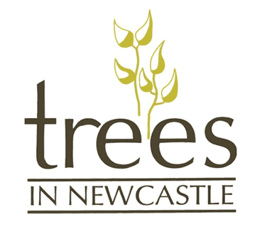 Trees In Newcastle